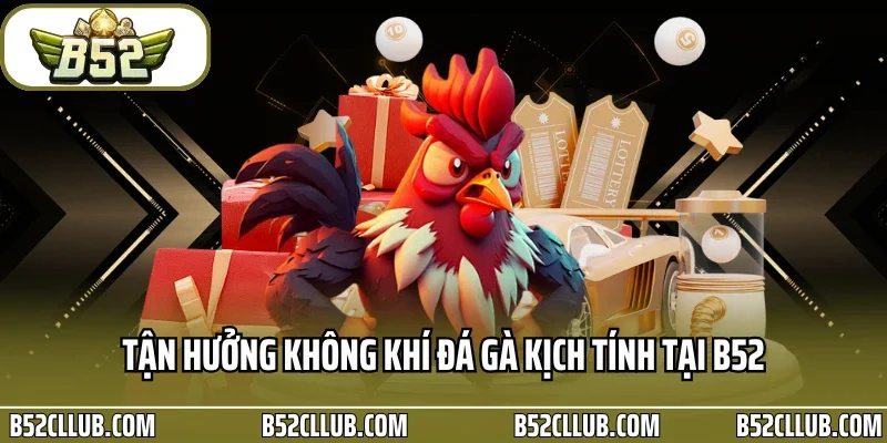 Tận hưởng không khí đá gà kịch tính tại B52